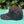 Curved Bill Black & White Hat