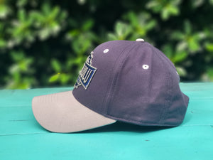 Curved Bill Navy Steel Hat