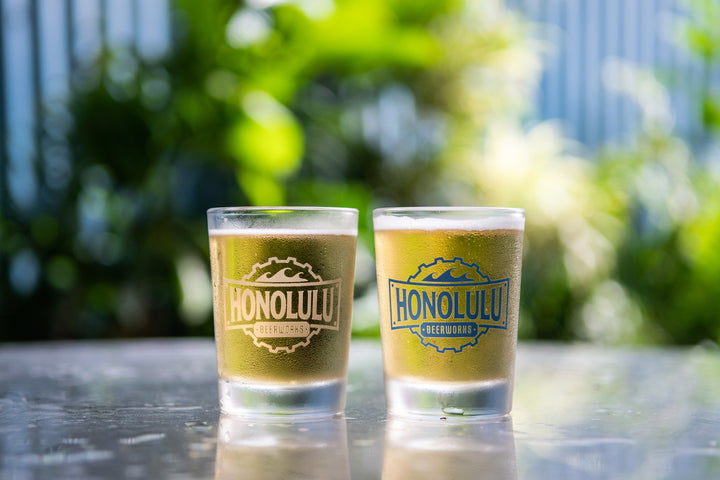 Honolulu Beerworks 24 oz Tumbler with Bluetooth Speaker